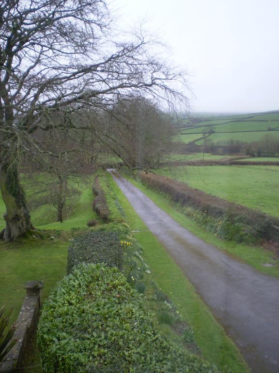 Buckley Farmhouse B & B Сидмут Екстериор снимка